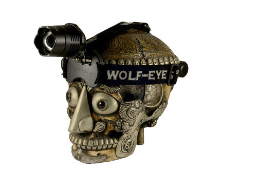 wolf eyes head torch